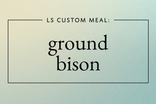 Ground Bison