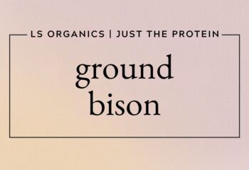 Ground Bison