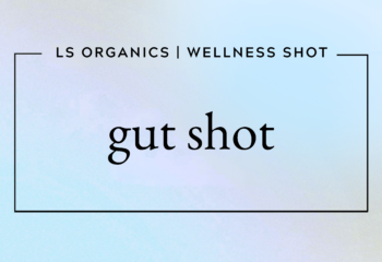 GUT SHOT