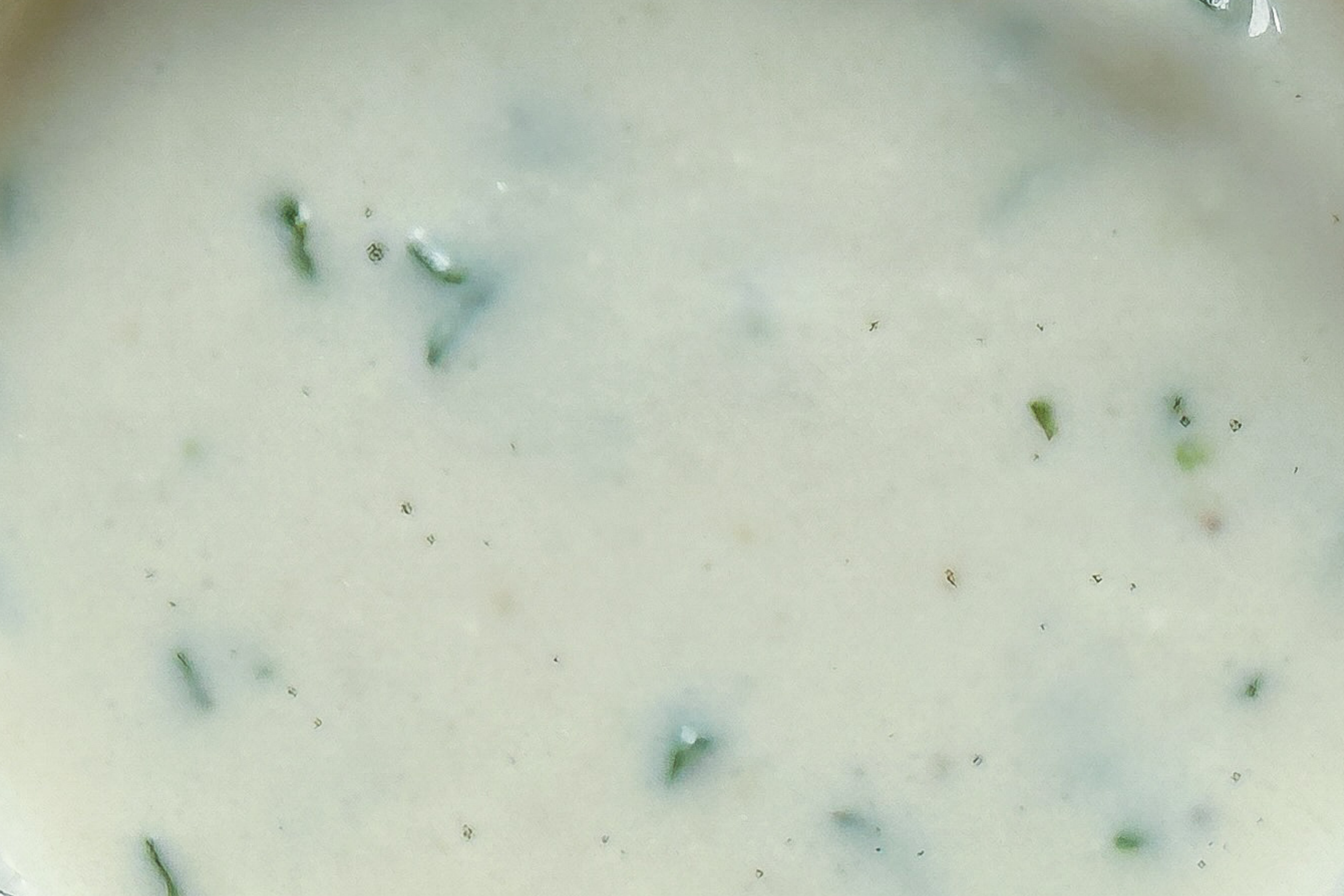 Cashew Dill | GF + VEGAN
