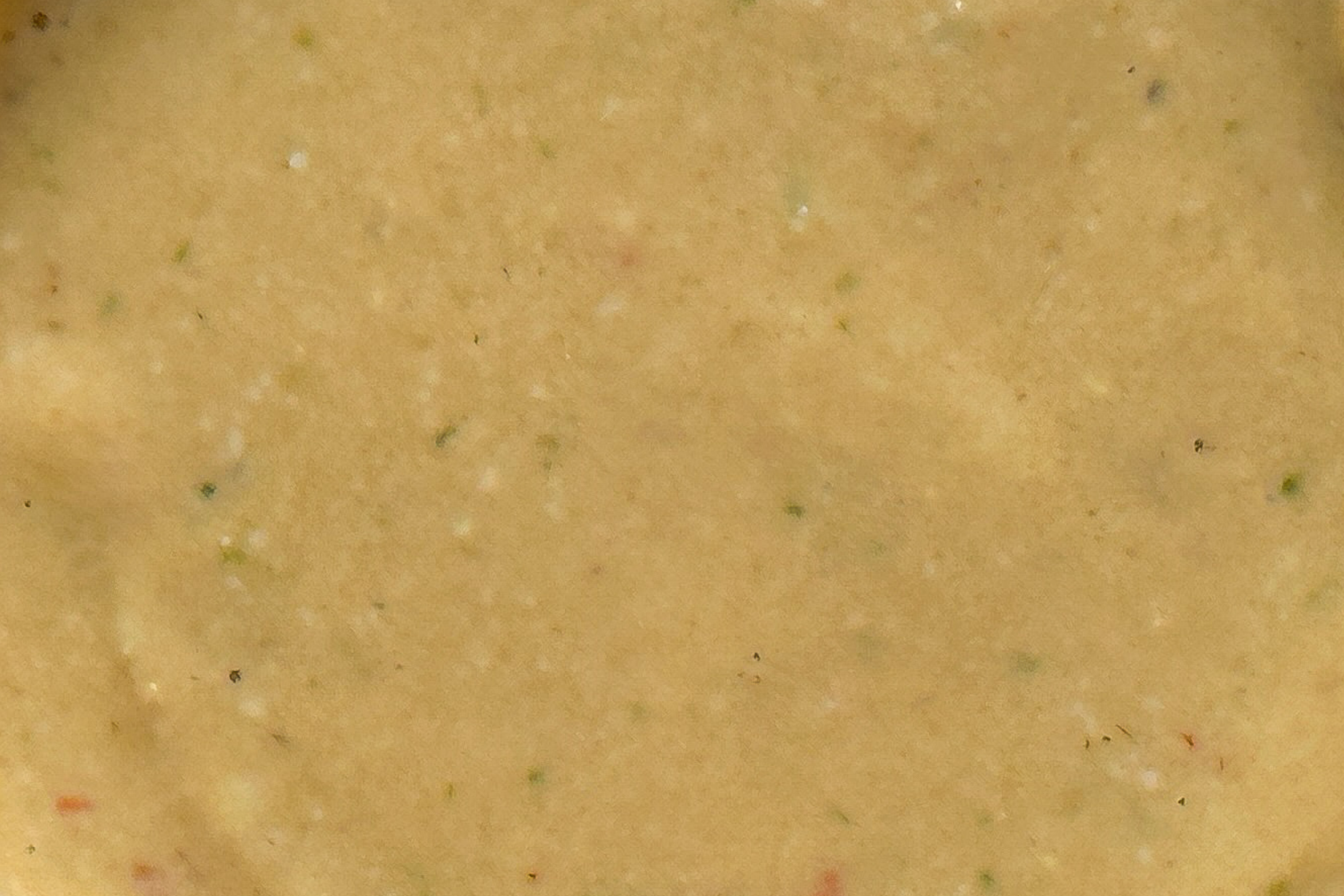 Chipotle | GF + VEGAN