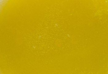 Citrus Vinaigrette | GF + VEGAN