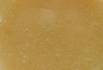Honey Mustard | GF + DF