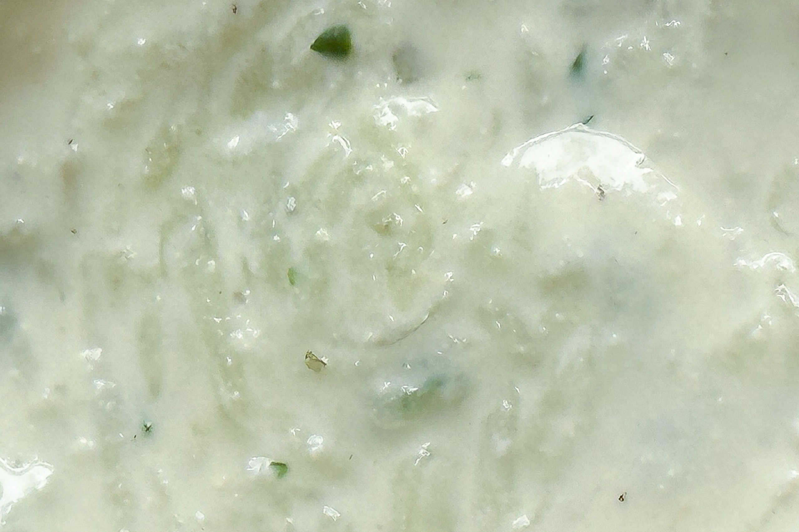 LS Tzatziki | GF + VEGAN