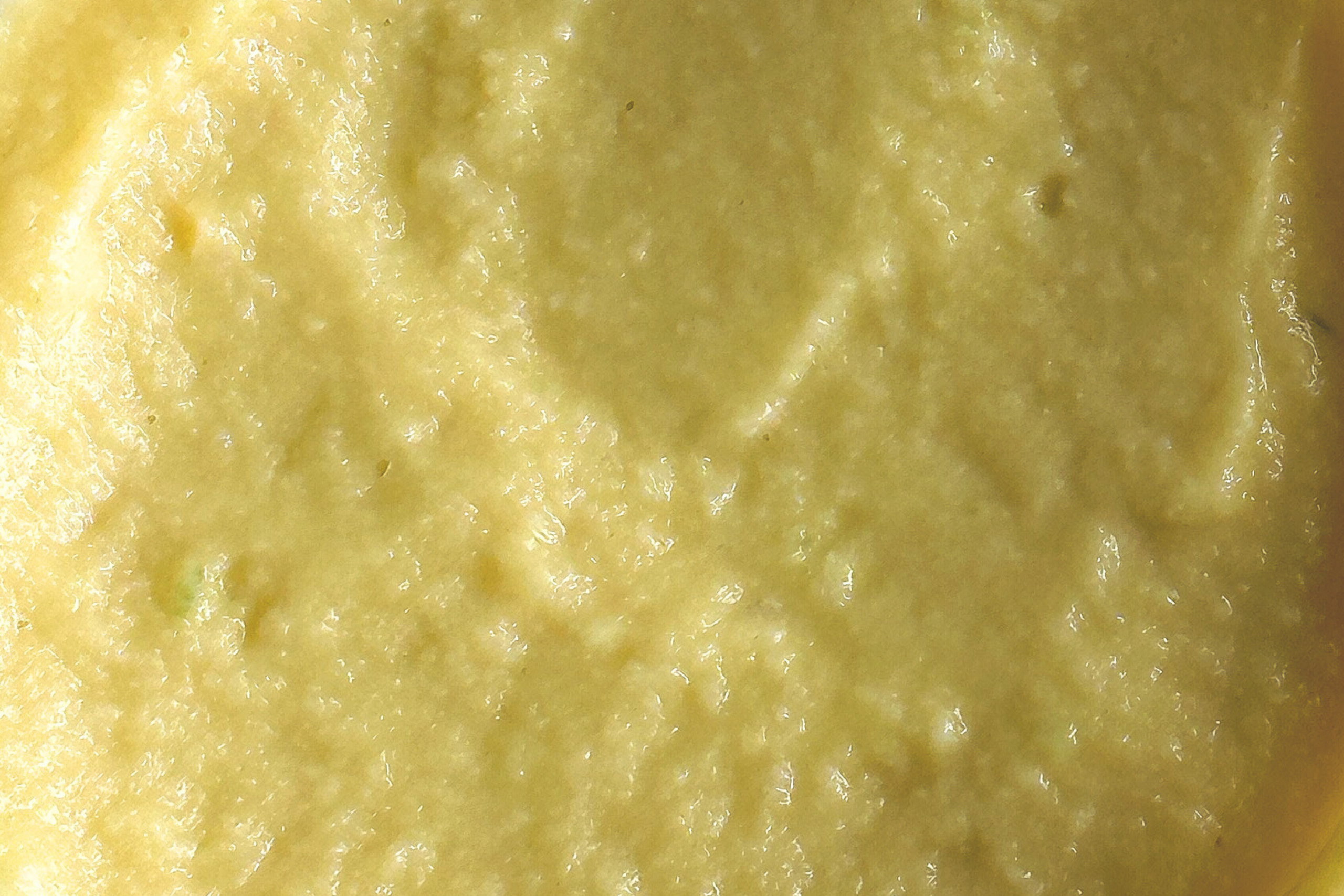 Garlic Hummus | GF + VEGAN
