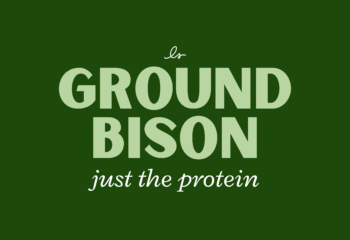 Ground Bison