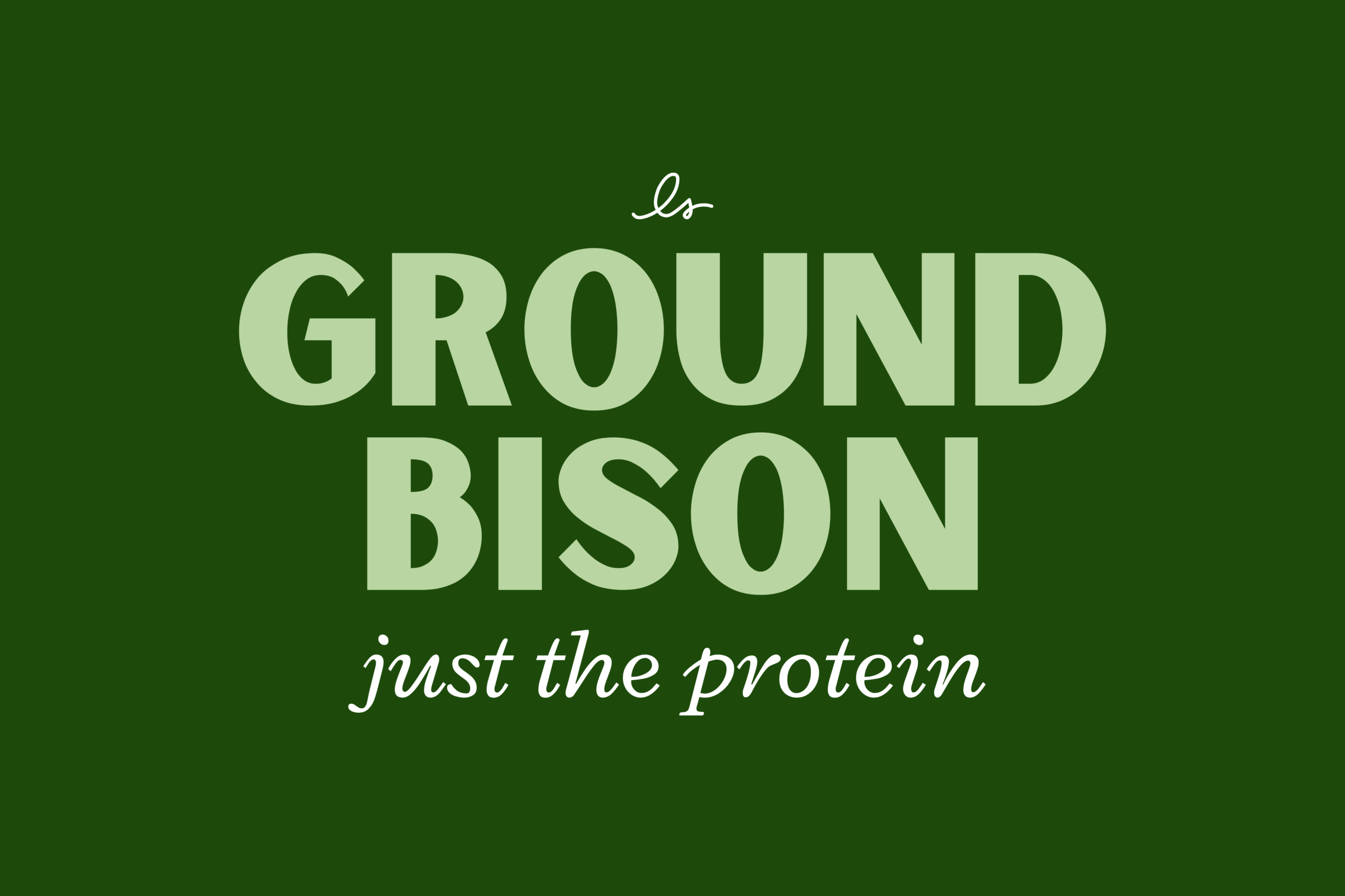 Ground Bison